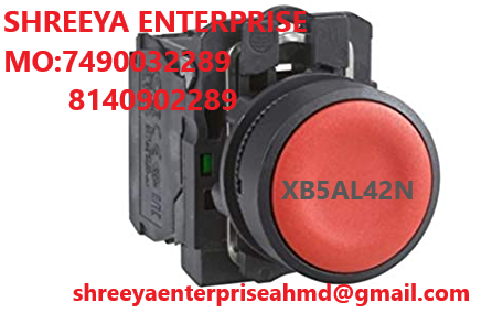 PUSH BUTTON XB5AL42N