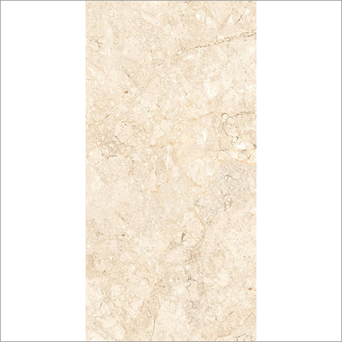 1200X2400 MM Antresit Beige Glossy Tile