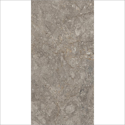 1200X2400 MM Antresit Grey Glossy Tile