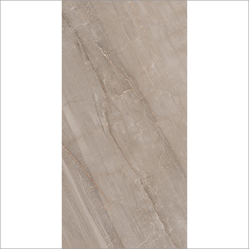 1200X2400 MM Icey Brown Glossy Tile