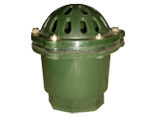 Green Bolt Foot Valve