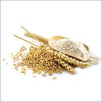 Natural Wheat Flour