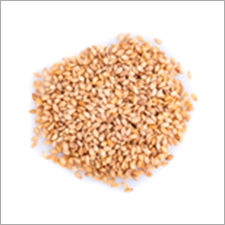 Sesame Seeds By MARIOX TRADING