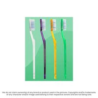 Tooth Brush - Bristle Color: White