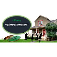Termite Control