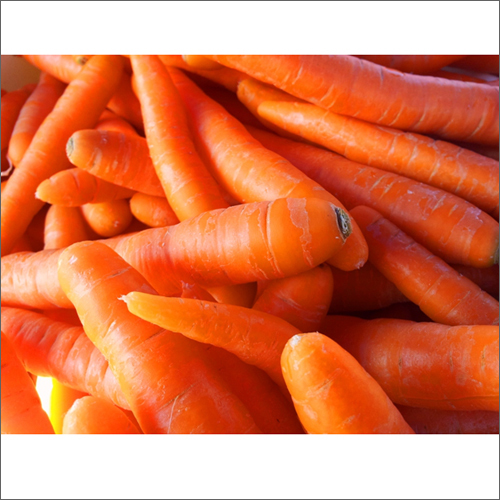 Fresh Carrots Moisture (%): 2