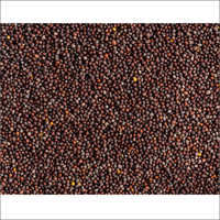Organic Mustard Seed - Raw Dried Granules, Black And Yellow Color, Grade A, 1 Gram Weight, Rich In Calcium And Omega-3 Fatty Acids, Air Tight Sealed For Hygiene
