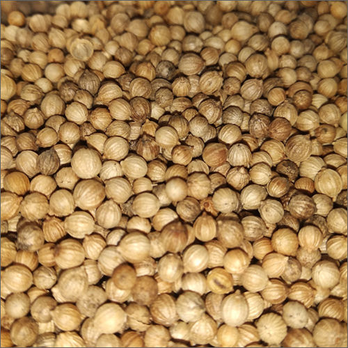 Yellowish Brown Organic Coriander Seed