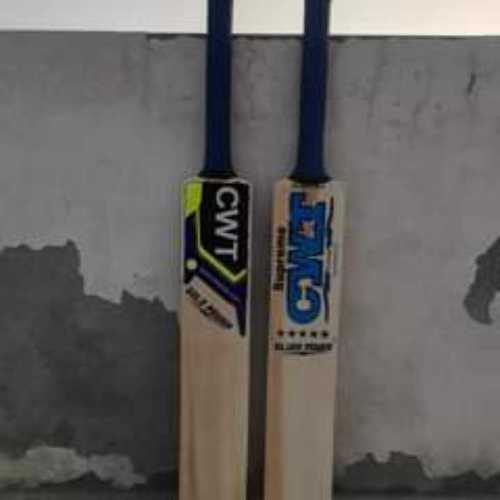kashmiri willow cricket bat cwt sports