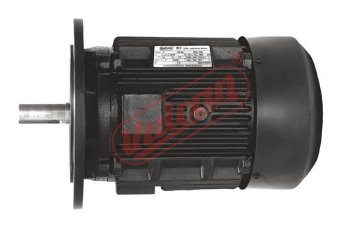 Flange Mount Induction Motor