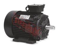 Foot  Mount Induction Motor