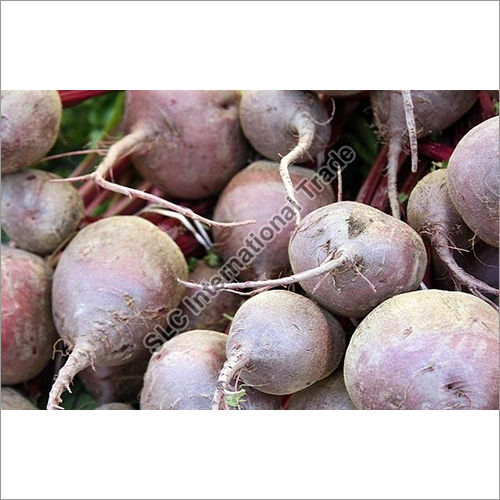 Fresh Beetroot