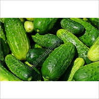 Fresh Cucumber