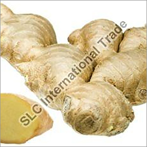 Fresh Ginger