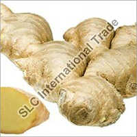 Fresh Ginger