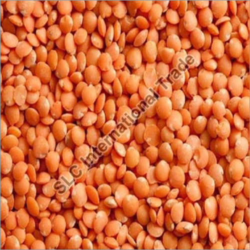 Red Lentils