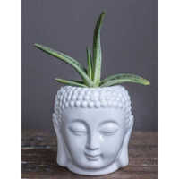 White Buddha Head Shape Bonsai Planter