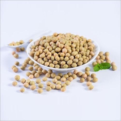 Soybean