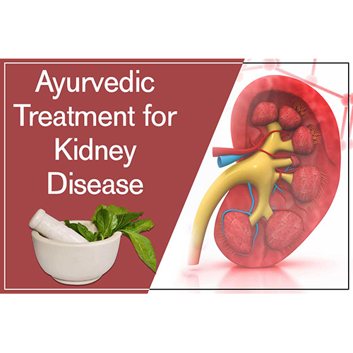 Ayush Cure For Kidney