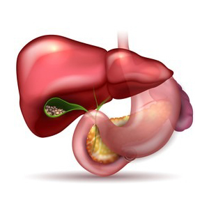 Ayush Cure For Liver And Disease