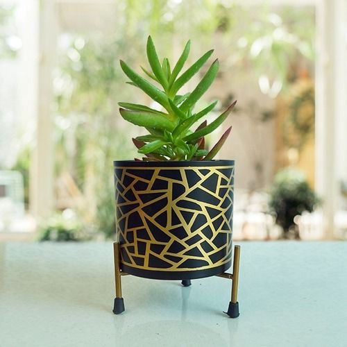 Metal Pot With Golden Print