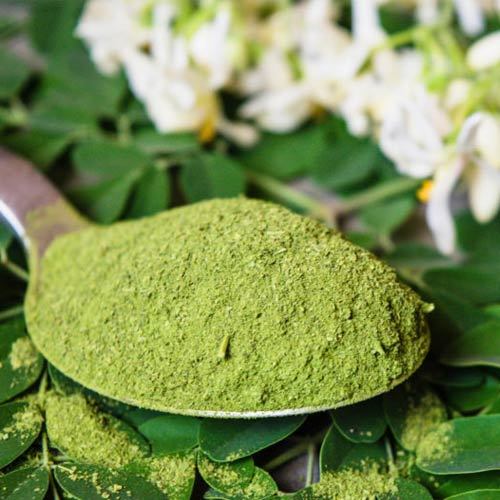 Moringa Extract By STACK GENERAL GROUPS OF COMPANIES LIMITED