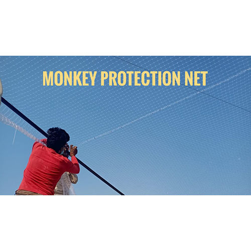 Monkey Protection Net At Terrace Application: Residential