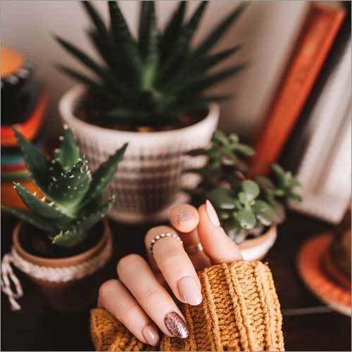Manicure Products