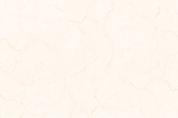 15229 GLOSSY CERAMIC WALL TILES 300X450mm