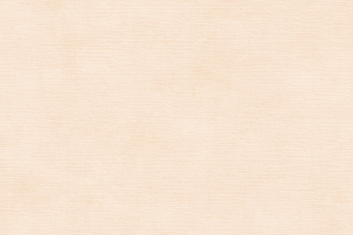 15230 GLOSSY CERAMIC WALL TILES 300X450mm