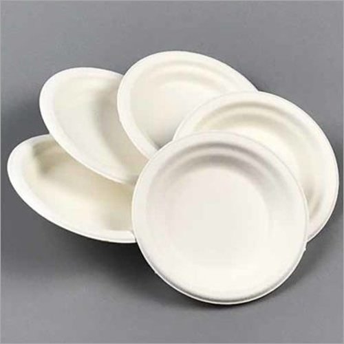 Eco Friendly Plates By RUDRAPRIYA PACKAGING PVT. LTD.