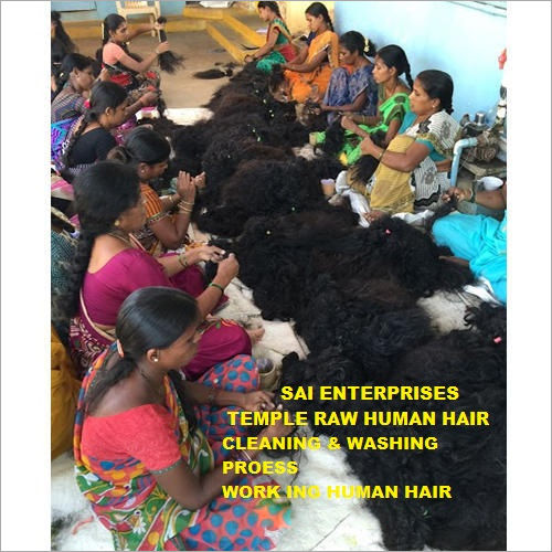 Temple Raw Human Hair