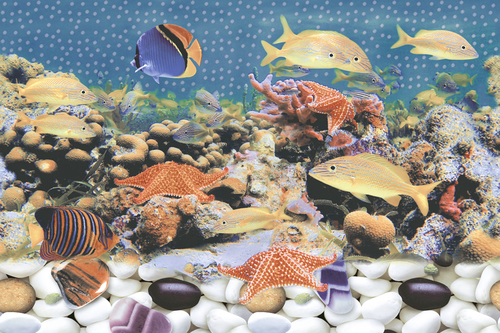 15235 GLOSSY CERAMIC WALL TILES 300X450mm