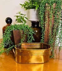 BRASS GOLD POLISHED OUTDOOR PLANTER