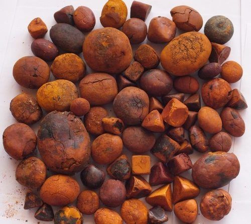 Buy Cow Gall Stones / Ox Gallstones at cheap price