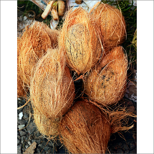 Natural Fresh Coconut By GANANATHAN TRADERS