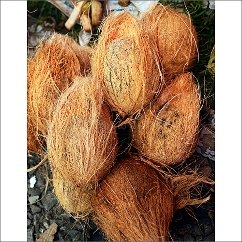 Natural Fresh Coconut