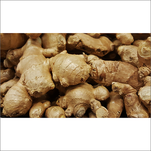 Fresh Ginger