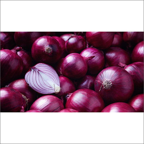 Fresh Red Onion
