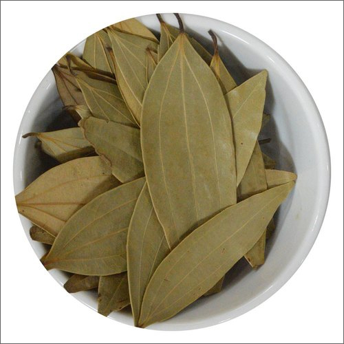Fresh Bay Leaf