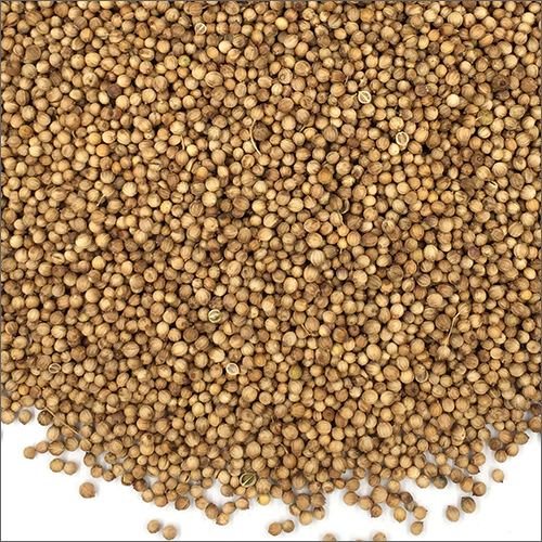 Coriander Seeds