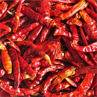 Red Chilli