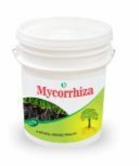Mycorrhiza Bio Fertilizers Application: Agriculture