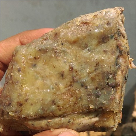 Uzbeki Dana