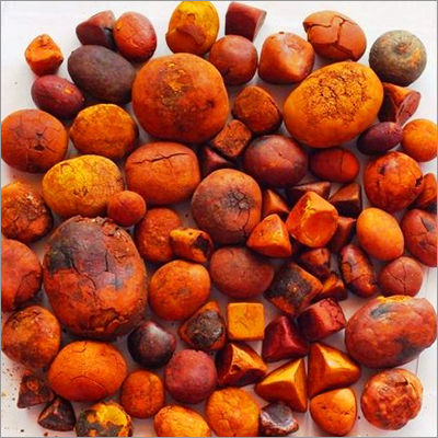 Cow Gallstones