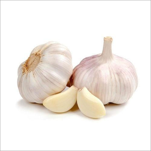 Fresh White Garlic Preserving Compound: Dry Place