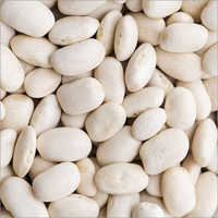 White Beans - Cultivation Type: Organic
