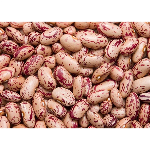 Speckled Beans
