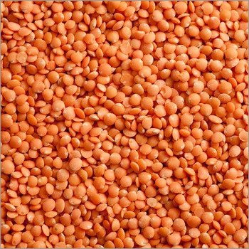 Red Lentils