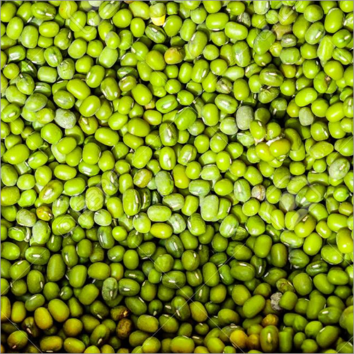 Green Lentils